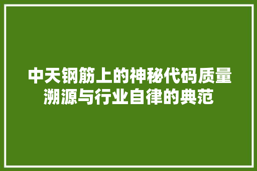 中天钢筋上的神秘代码质量溯源与行业自律的典范