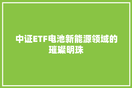 中证ETF电池新能源领域的璀璨明珠 网络技术