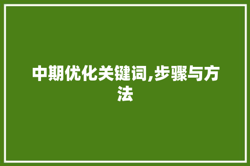 中期优化关键词,步骤与方法