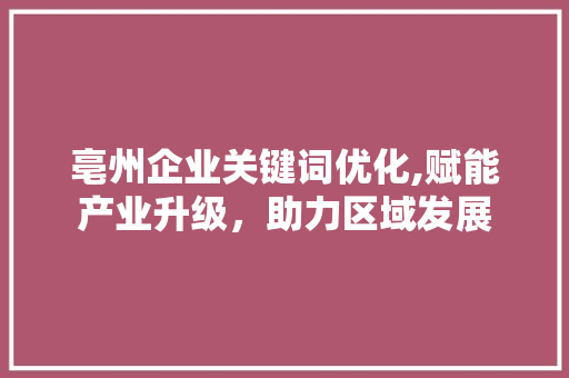 亳州企业关键词优化,赋能产业升级，助力区域发展