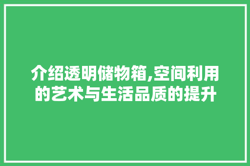 介绍透明储物箱,空间利用的艺术与生活品质的提升