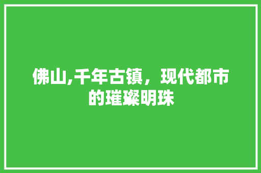 佛山,千年古镇，现代都市的璀璨明珠