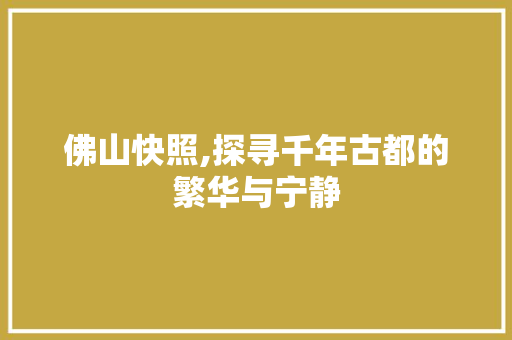 佛山快照,探寻千年古都的繁华与宁静 佛山快照,探寻千年古都的繁华与宁静