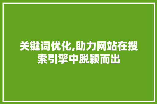 关键词优化,助力网站在搜索引擎中脱颖而出