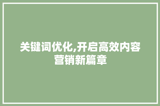 关键词优化,开启高效内容营销新篇章
