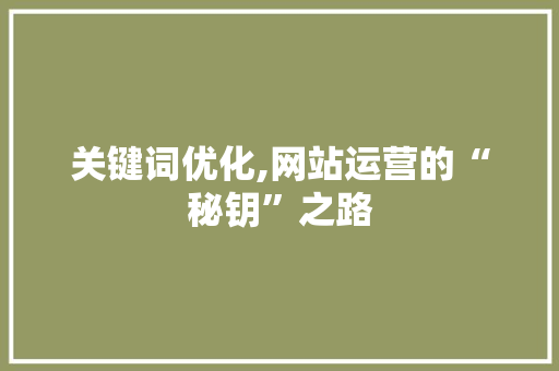 关键词优化,网站运营的“秘钥”之路