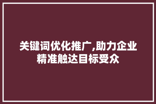 关键词优化推广,助力企业精准触达目标受众