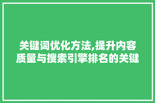关键词优化方法,提升内容质量与搜索引擎排名的关键步骤