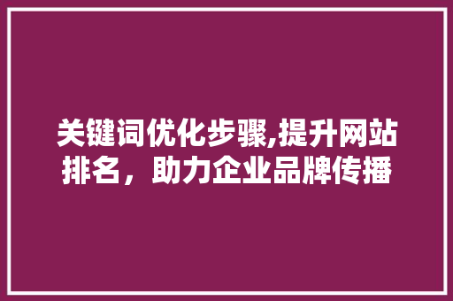 关键词优化步骤,提升网站排名，助力企业品牌传播