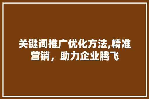 关键词推广优化方法,精准营销，助力企业腾飞