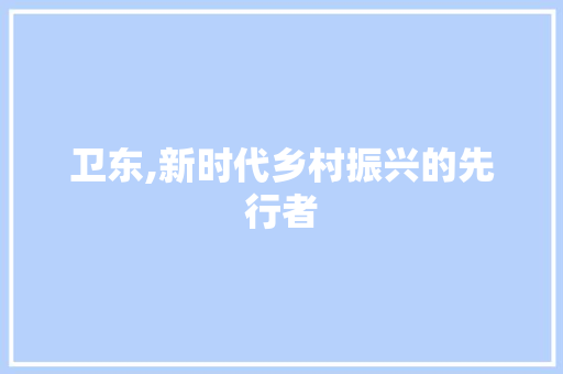 卫东,新时代乡村振兴的先行者