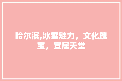 哈尔滨,冰雪魅力，文化瑰宝，宜居天堂
