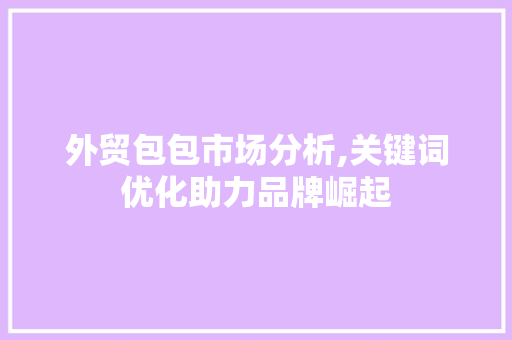 外贸包包市场分析,关键词优化助力品牌崛起