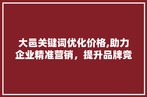 大邑关键词优化价格,助力企业精准营销，提升品牌竞争力