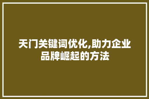天门关键词优化,助力企业品牌崛起的方法