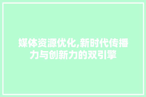 媒体资源优化,新时代传播力与创新力的双引擎
