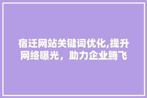 宿迁网站关键词优化,提升网络曝光，助力企业腾飞