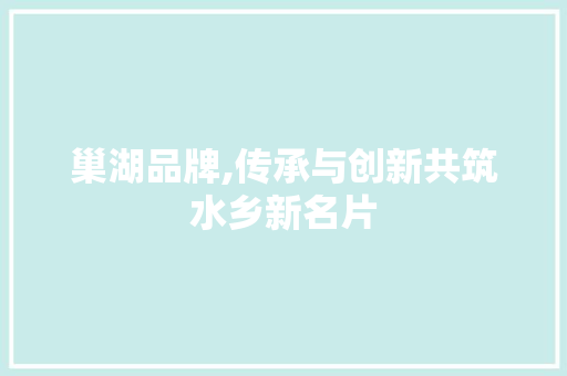 巢湖品牌,传承与创新共筑水乡新名片