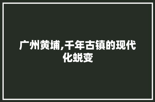 广州黄埔,千年古镇的现代化蜕变