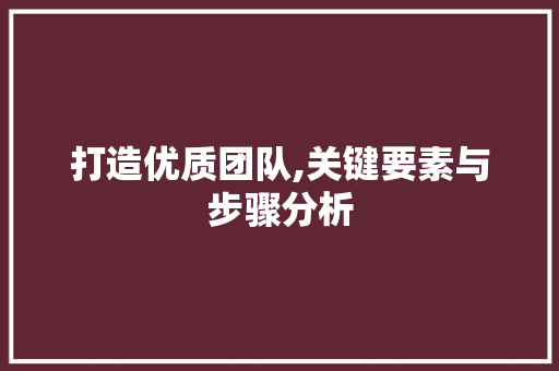打造优质团队,关键要素与步骤分析 打造优质团队,关键要素与步骤分析