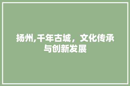 扬州,千年古城,文化传承与创新发展 扬州,千年古城,文化传承与创新发展