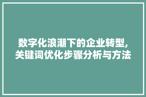 数字化浪潮下的企业转型,关键词优化步骤分析与方法