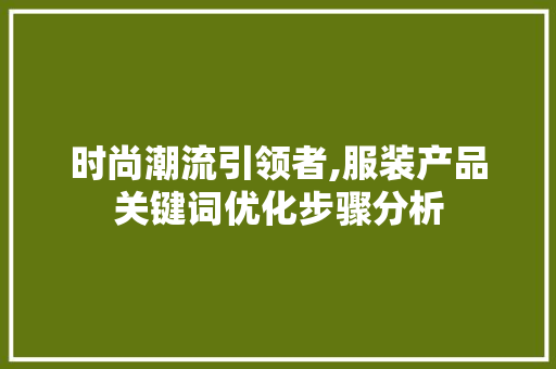 时尚潮流引领者,服装产品关键词优化步骤分析