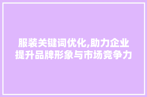 服装关键词优化,助力企业提升品牌形象与市场竞争力