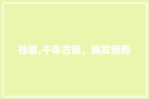 桂城,千年古镇，焕发新颜