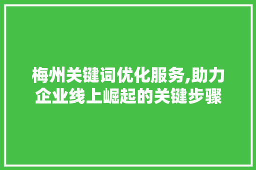 梅州关键词优化服务,助力企业线上崛起的关键步骤