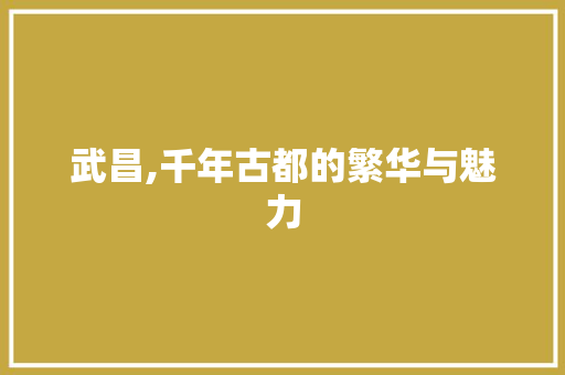 武昌,千年古都的繁华与魅力