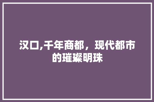 汉口,千年商都，现代都市的璀璨明珠 编程语言