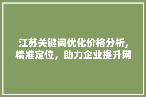 江苏关键词优化价格分析,精准定位，助力企业提升网络竞争力
