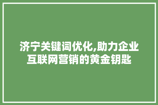 济宁关键词优化,助力企业互联网营销的黄金钥匙