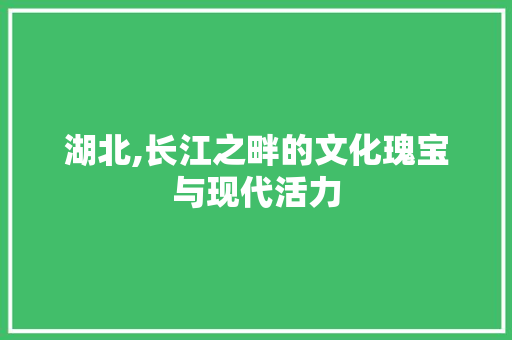 湖北,长江之畔的文化瑰宝与现代活力