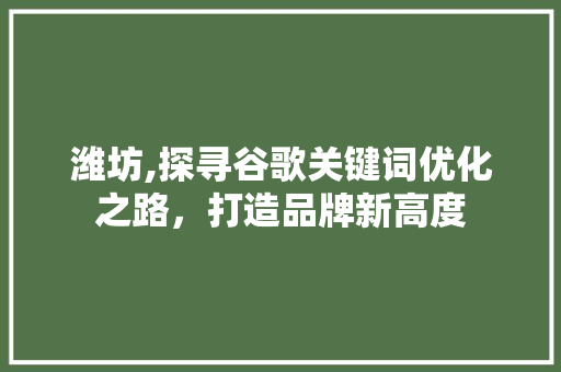 潍坊,探寻谷歌关键词优化之路，打造品牌新高度