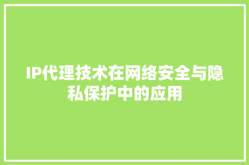IP代理技术在网络安全与隐私保护中的应用