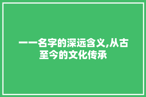 一一名字的深远含义,从古至今的文化传承