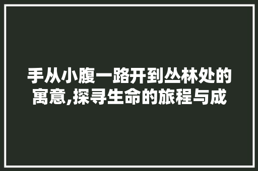 手从小腹一路开到丛林处的寓意,探寻生命的旅程与成长 手从小腹一路开到丛林处的寓意,探寻生命的旅程与成长