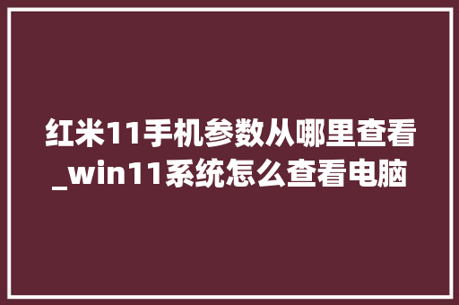 红米11手机参数从哪里查看_win11系统怎么查看电脑配置