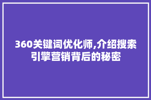 360关键词优化师,介绍搜索引擎营销背后的秘密