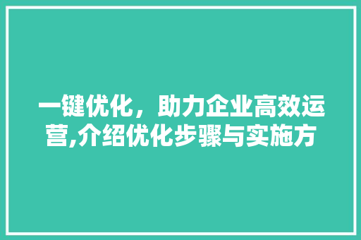 一键优化，助力企业高效运营,介绍优化步骤与实施方法