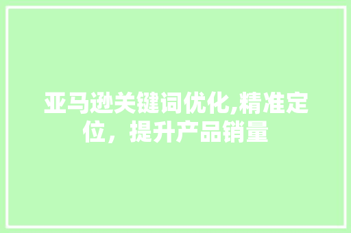 亚马逊关键词优化,精准定位,提升产品销量 亚马逊关键词优化,精准定位,提升产品销量