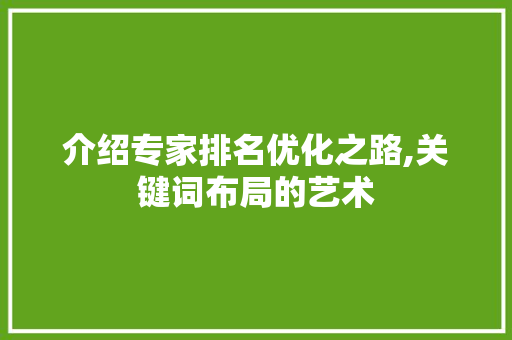 介绍专家排名优化之路,关键词布局的艺术