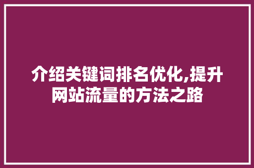 介绍关键词排名优化,提升网站流量的方法之路