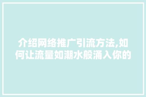 介绍网络推广引流方法,如何让流量如潮水般涌入你的网站