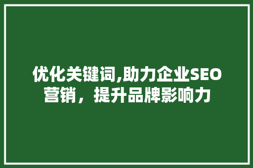 优化关键词,助力企业SEO营销，提升品牌影响力 电脑配置