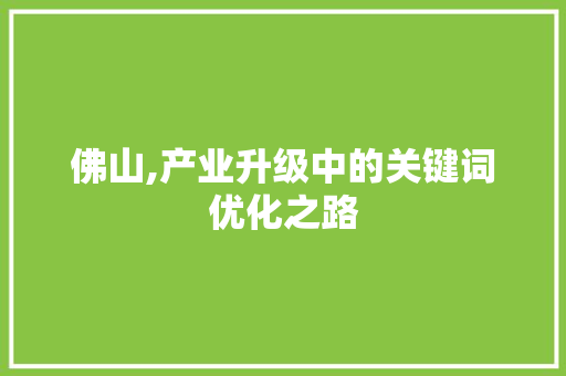 佛山,产业升级中的关键词优化之路