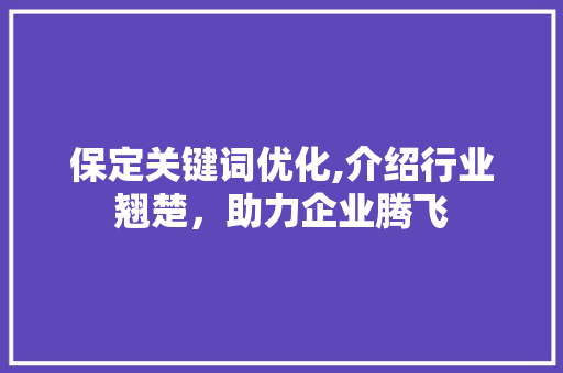 保定关键词优化,介绍行业翘楚，助力企业腾飞