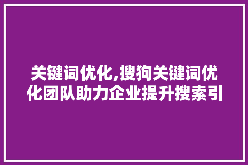关键词优化,搜狗关键词优化团队助力企业提升搜索引擎排名